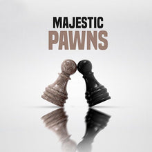 Load image into Gallery viewer, checkers set, checkers pieces