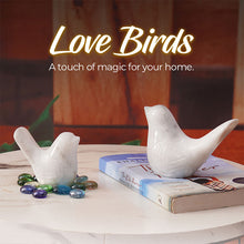 Load image into Gallery viewer, love bird , living room decor