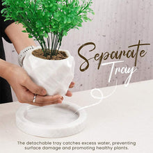 Load image into Gallery viewer, planter, indoor planter, marble planter, home decor