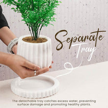 Load image into Gallery viewer, planter, indoor planter, marble planter, home decor