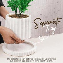 Load image into Gallery viewer, planter, indoor planter, marble planter, home decor