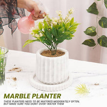 Load image into Gallery viewer, planter, indoor planter, marble planter, home decor