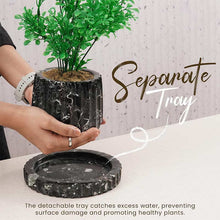 Load image into Gallery viewer, planter, indoor planter, marble planter, home decor