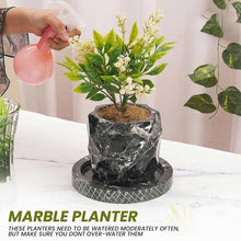 Load image into Gallery viewer, planter, indoor planter, marble planter, home decor