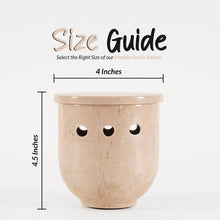 Load image into Gallery viewer, garlic storage, garlic container , garlic holder
