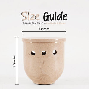 garlic storage, garlic container , garlic holder