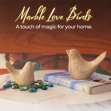 Load image into Gallery viewer, love bird , living room decor
