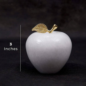Paper Weight / Apple paper weight
