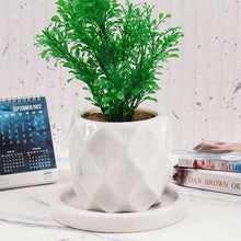 Load image into Gallery viewer, planter, indoor planter, marble planter, home decor
